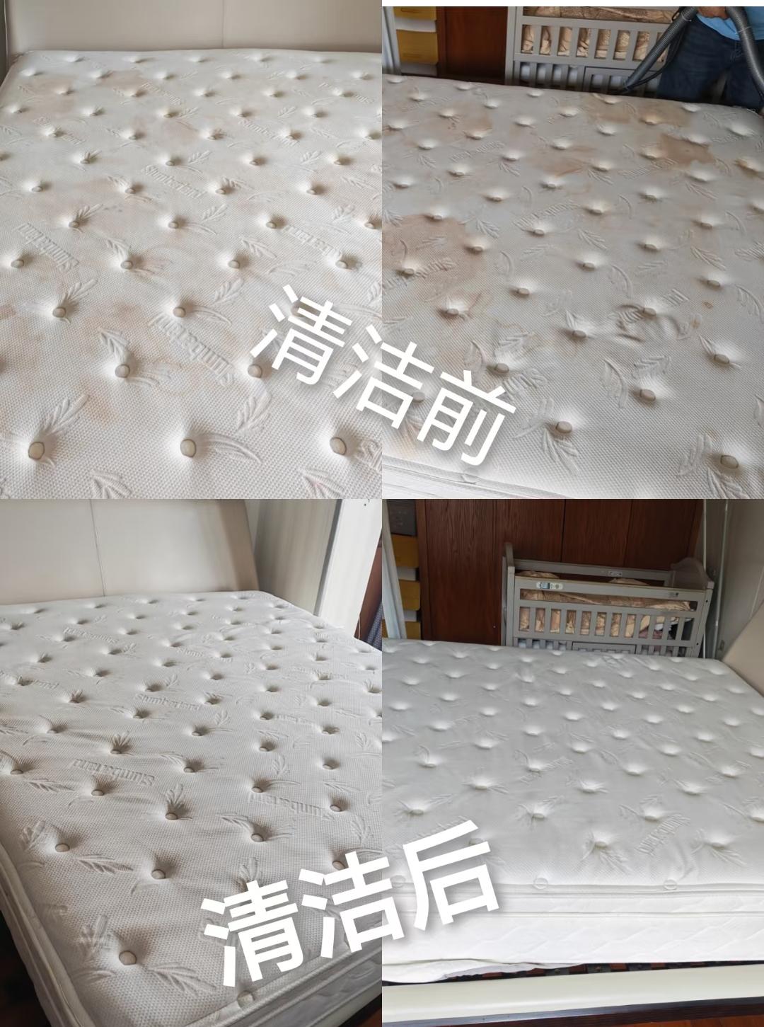 Home Mattress pet stain and odor removal in Cheras